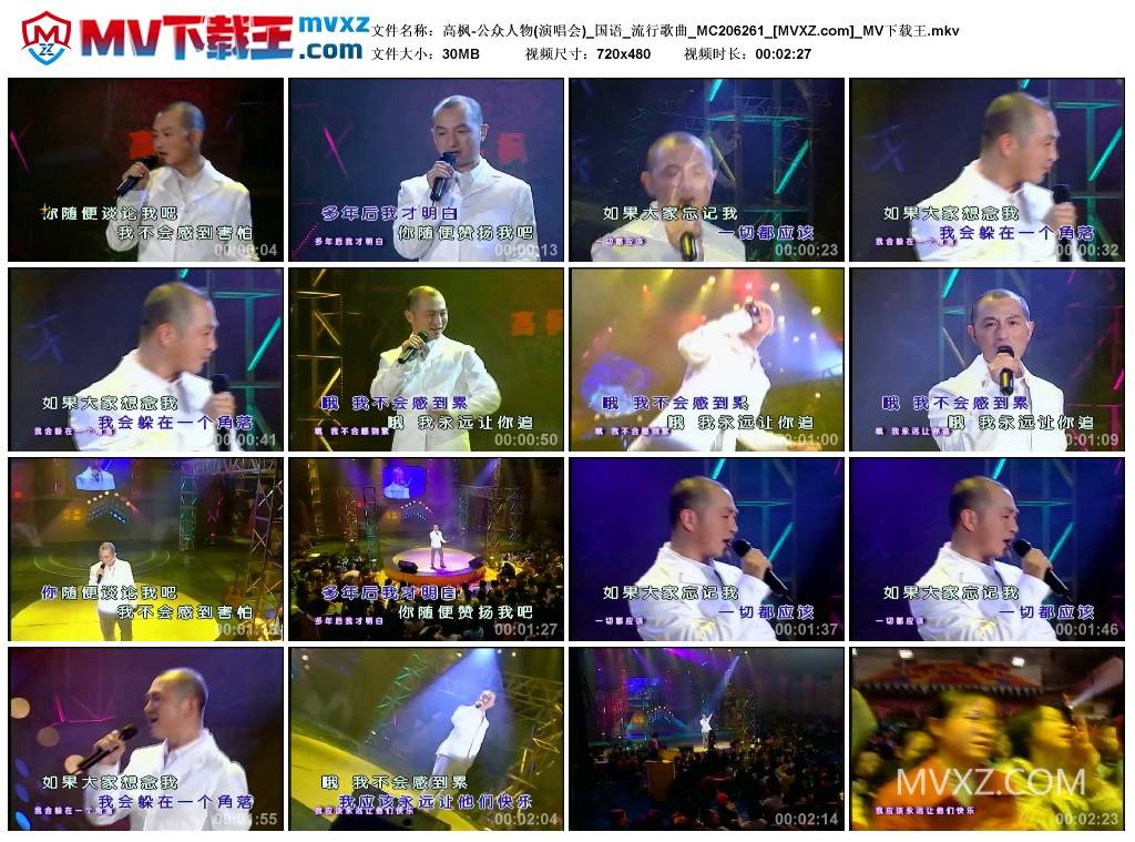 高枫-公众人物(演唱会)_国语_流行歌曲_MC206261